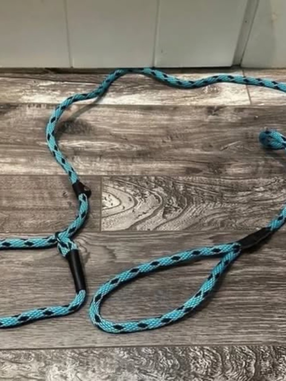 New slip lead training leash for dog
